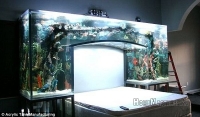 spalnya-s-akvariumom.jpg
