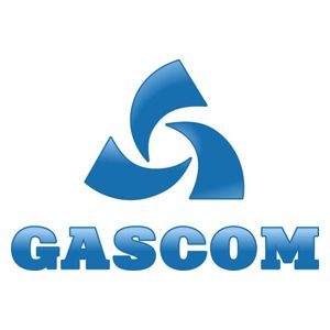 Подробнее о "Gascom"