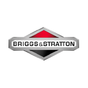 Подробнее о "Briggs&Stratton"