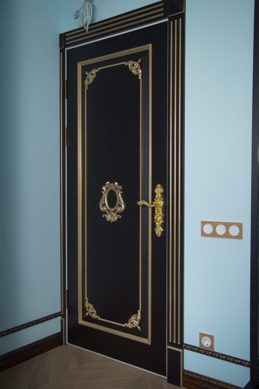 Элитная темная шпонированная дверь с золотым декором