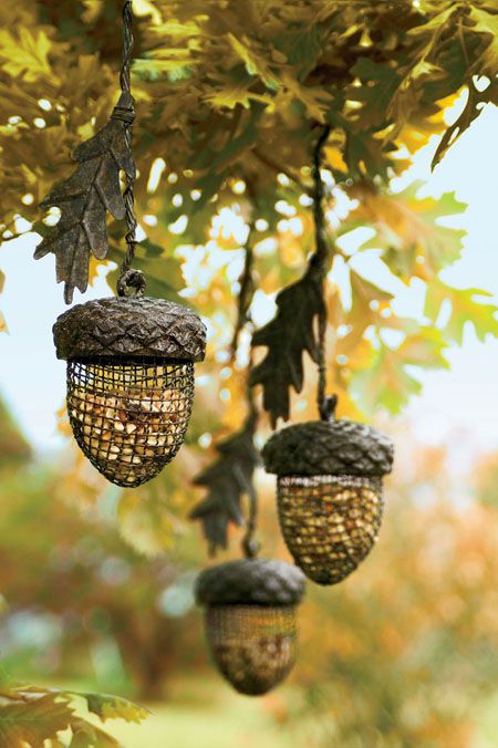 79699920_large_4_acornbirdfeeders.jpg