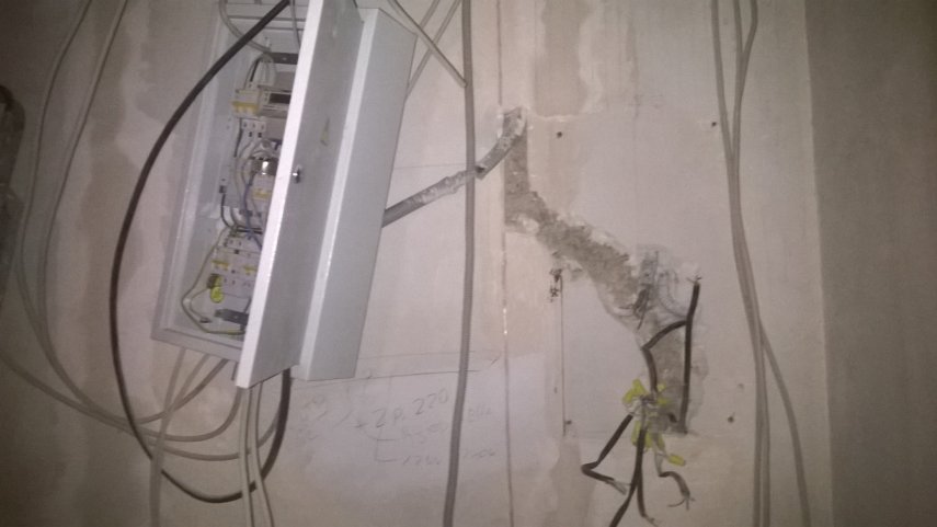 репино (2).jpg