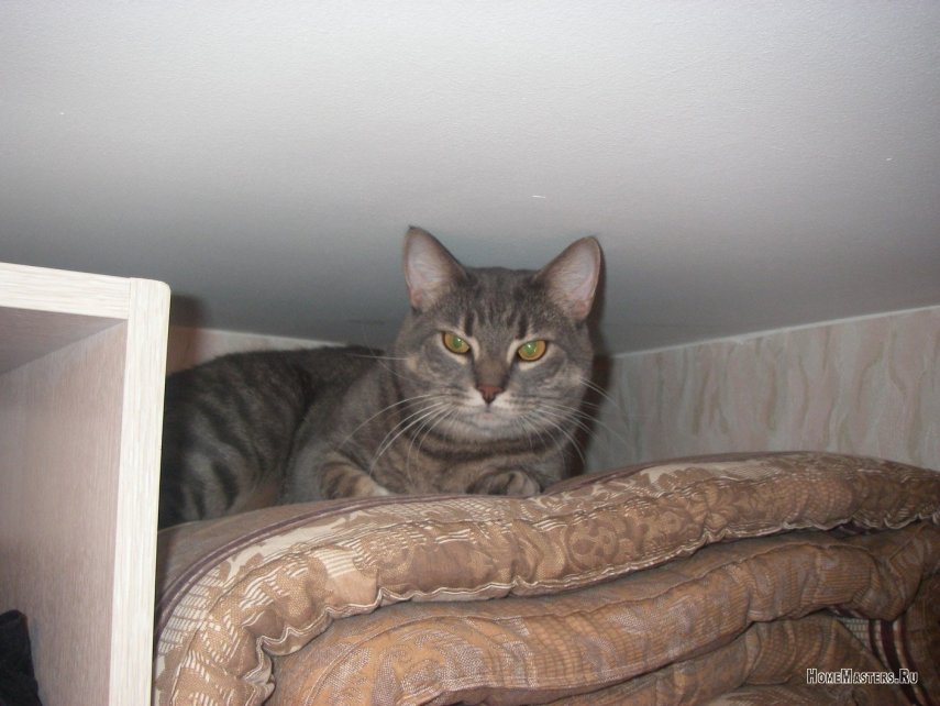 А вот и домик для кота.JPG