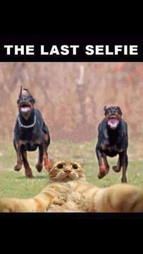 selfie.jpg