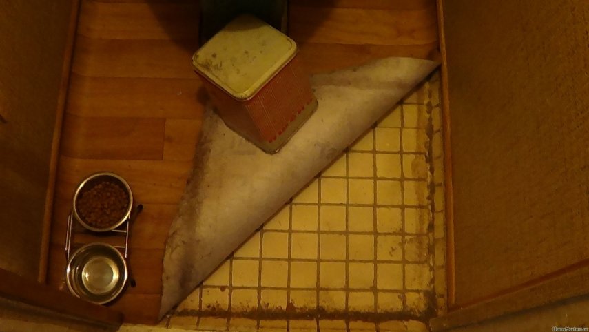 Плитка в туалете.jpg