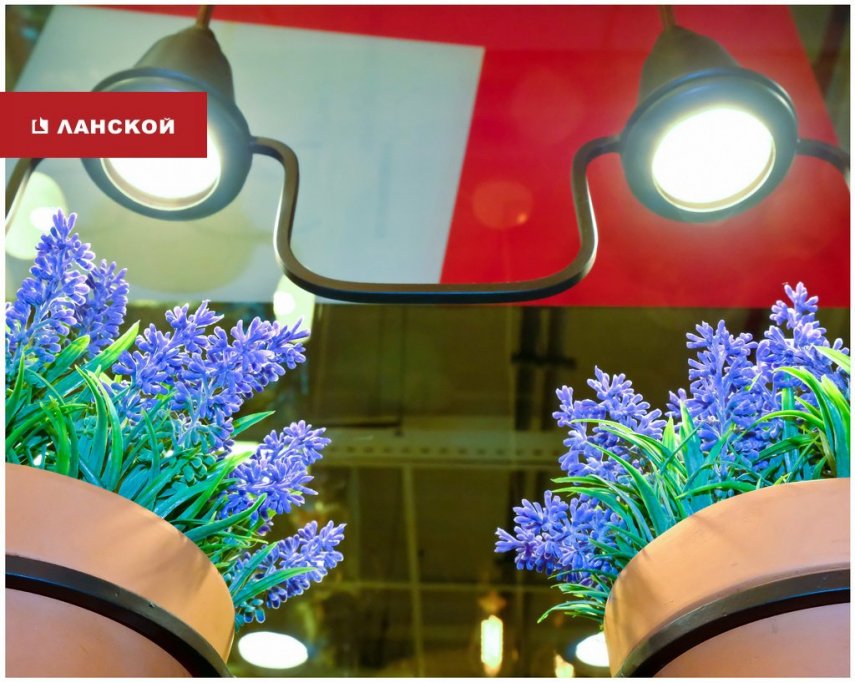 salon_08.jpg