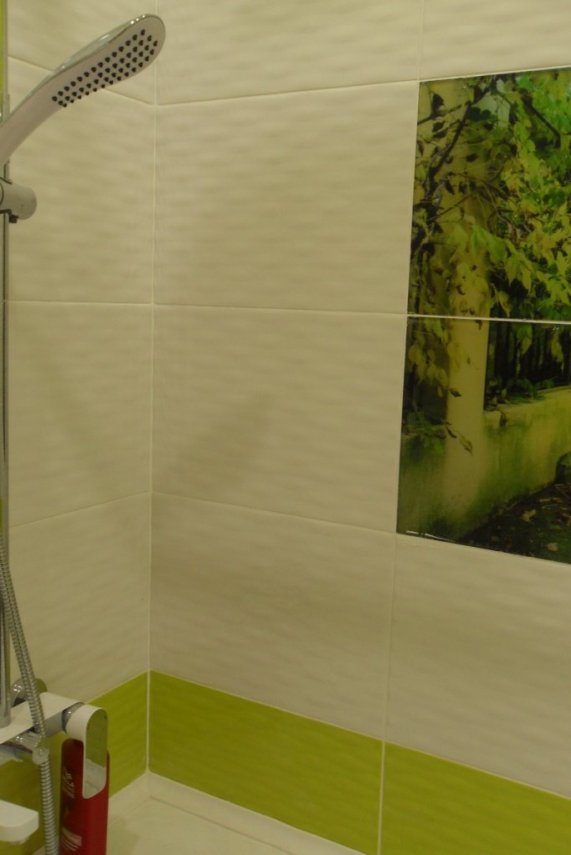 общий план.JPG