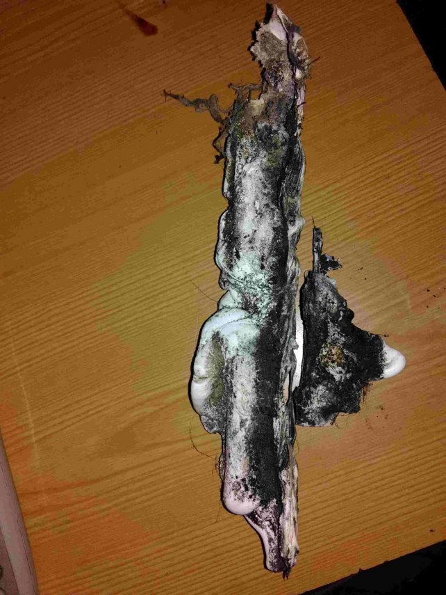 старый геметик.jpg