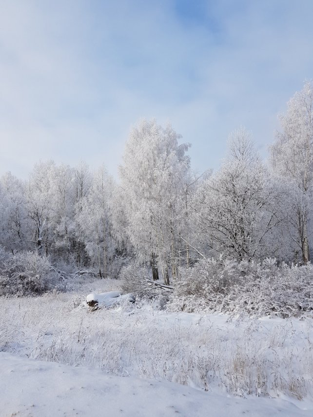 2018-12-18 12.48.04-1.jpg