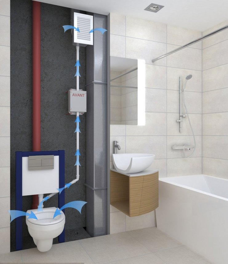 авант инсталляц.jpg