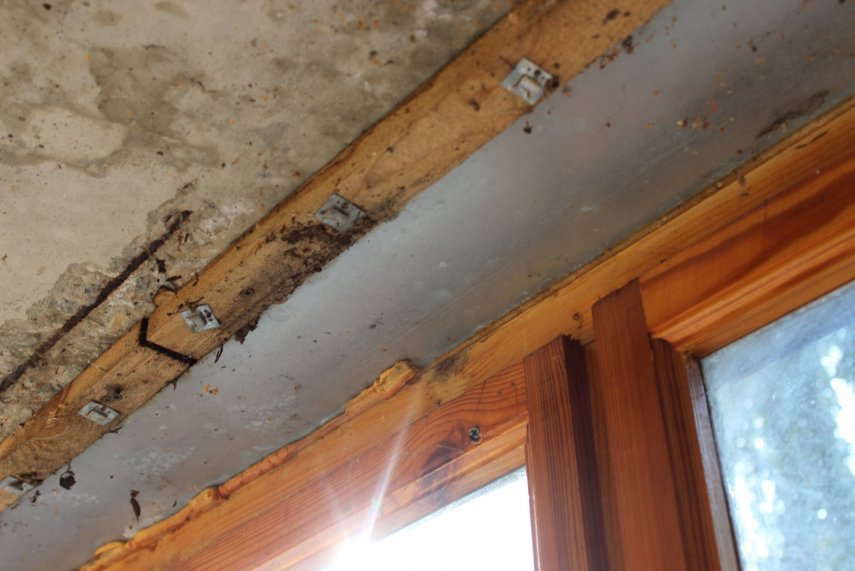 IMG_0855 (Копировать).JPG