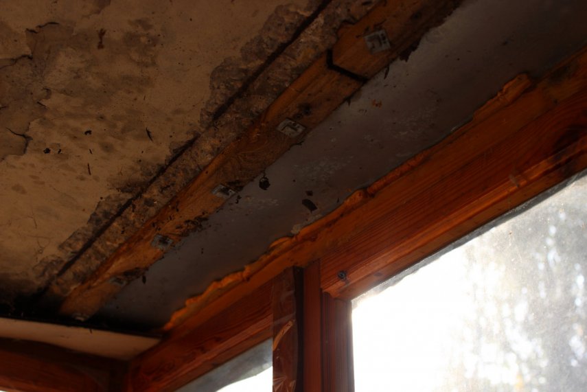 IMG_0856 (Копировать).JPG