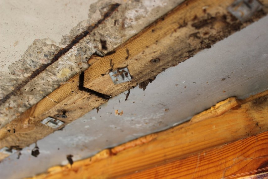 IMG_0857 (Копировать).JPG