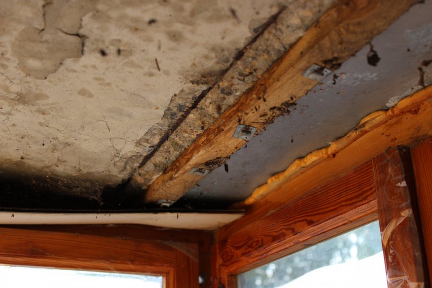 IMG_0858 (Копировать).JPG