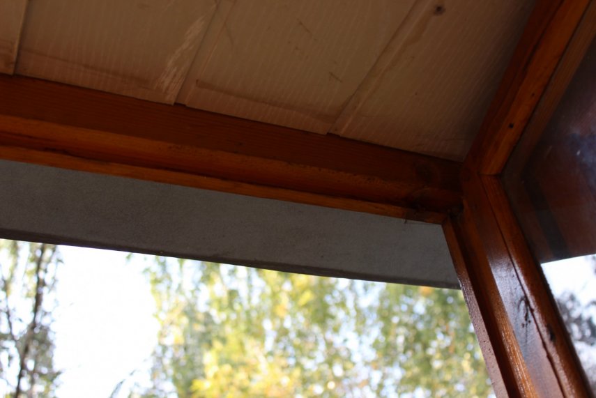 IMG_0859 (Копировать).JPG