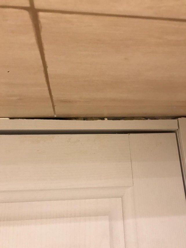 WhatsApp Image 2019-12-10 at 14.05.15(1).jpeg