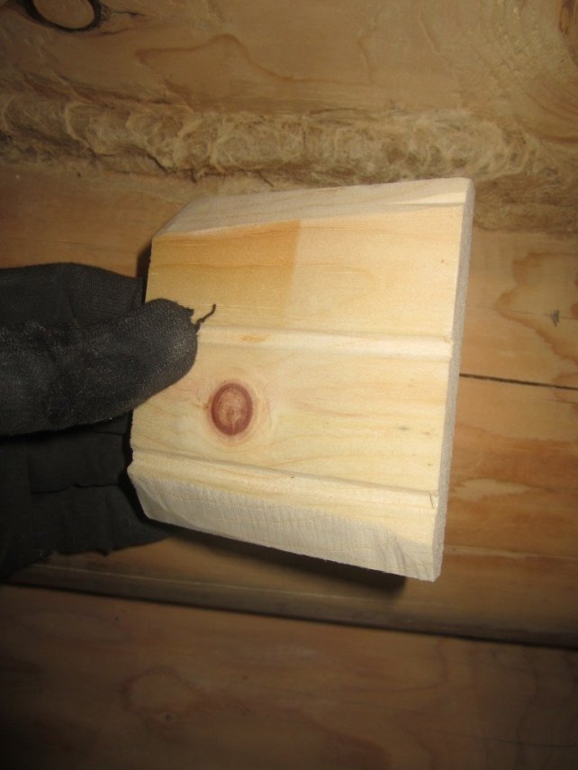 wood2_-_19.thumb.jpg.a69eb6d20a9d2dee21a09f5727fded54.jpg