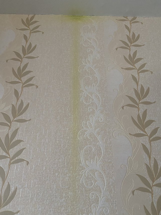 8A6D1349-2025-4167-A31E-7399C67E8AA4