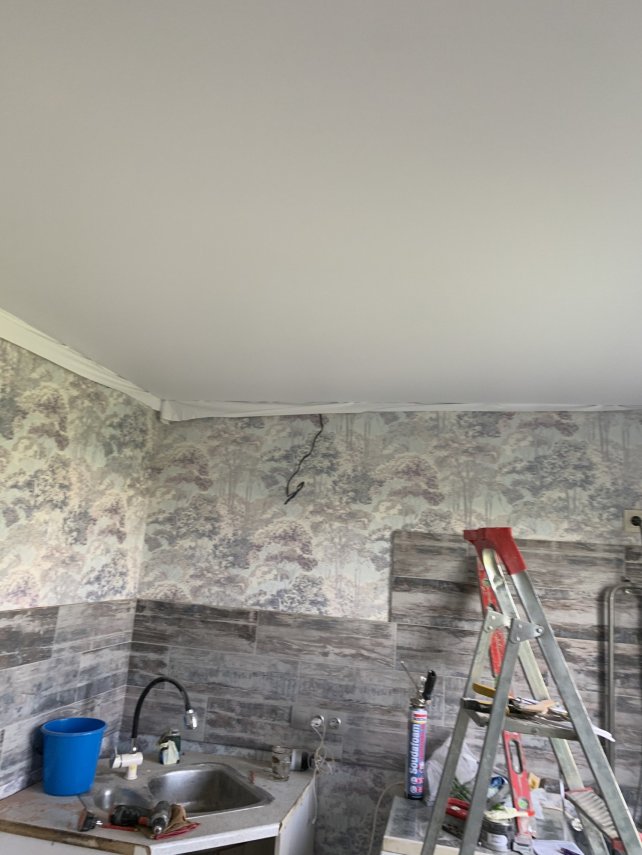 C036CAA9-A2EE-47AD-9515-969371A95527