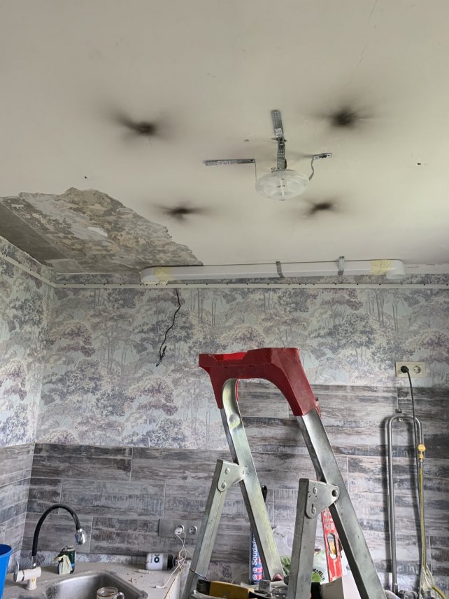 F16FA5FF-2BE6-486E-9392-AB27B0312479