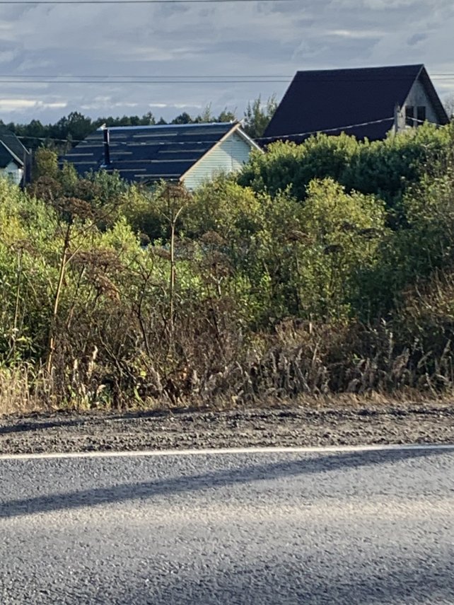 2F379E51-6286-4D89-BDBF-EBDFBD1D0F16