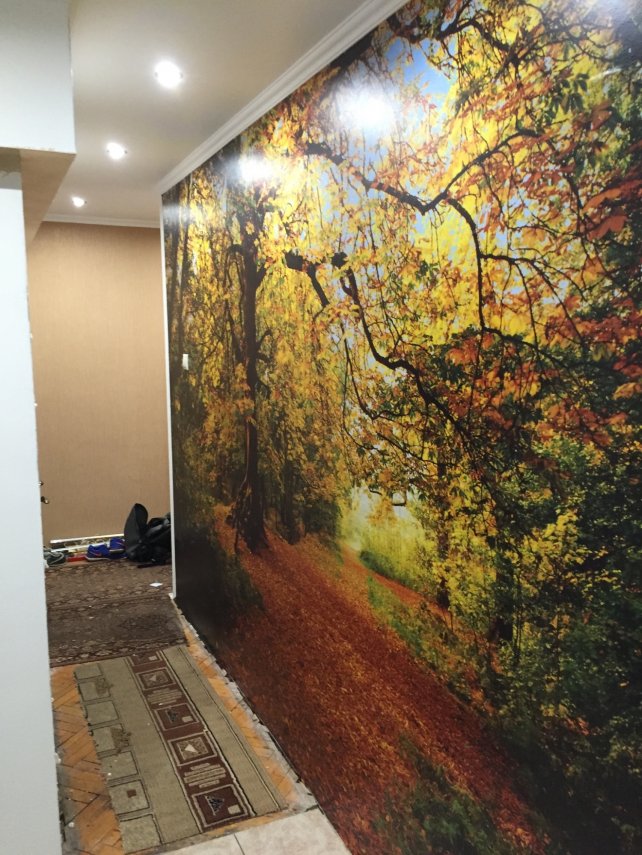 602144E3-40F8-414F-BDDF-3813D94F9C40