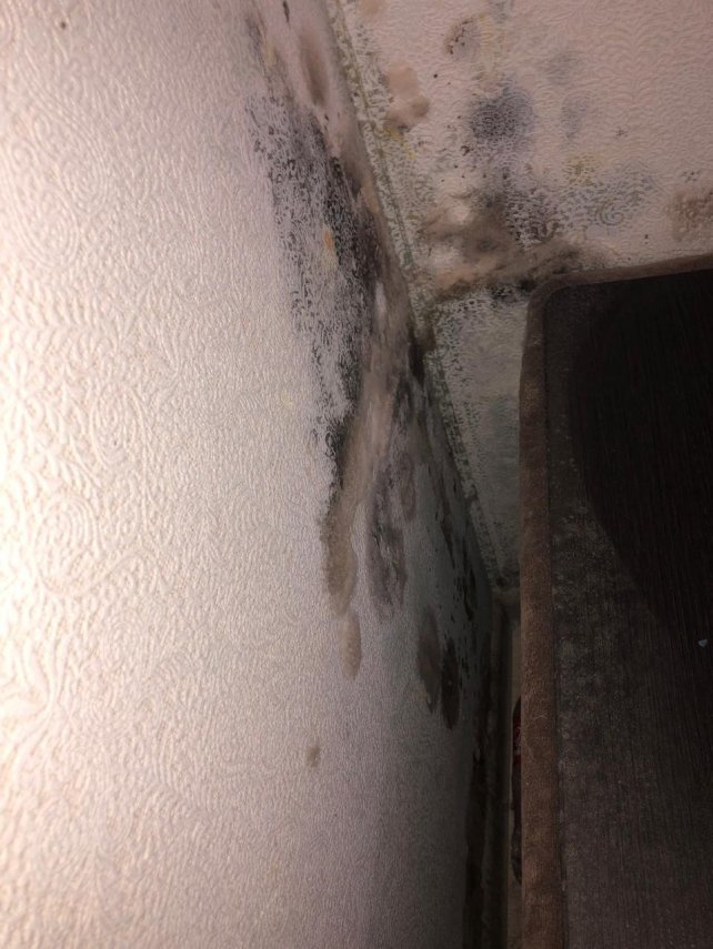 60f9e577-9dfa-48a3-ad6d-5613909bb797