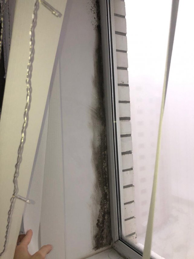 6aa57c4d-2221-465d-950d-0688fede2464