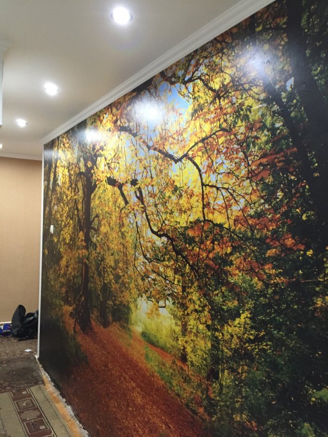 9AEA29C1-FB3A-422D-B132-BEBC19E129B4