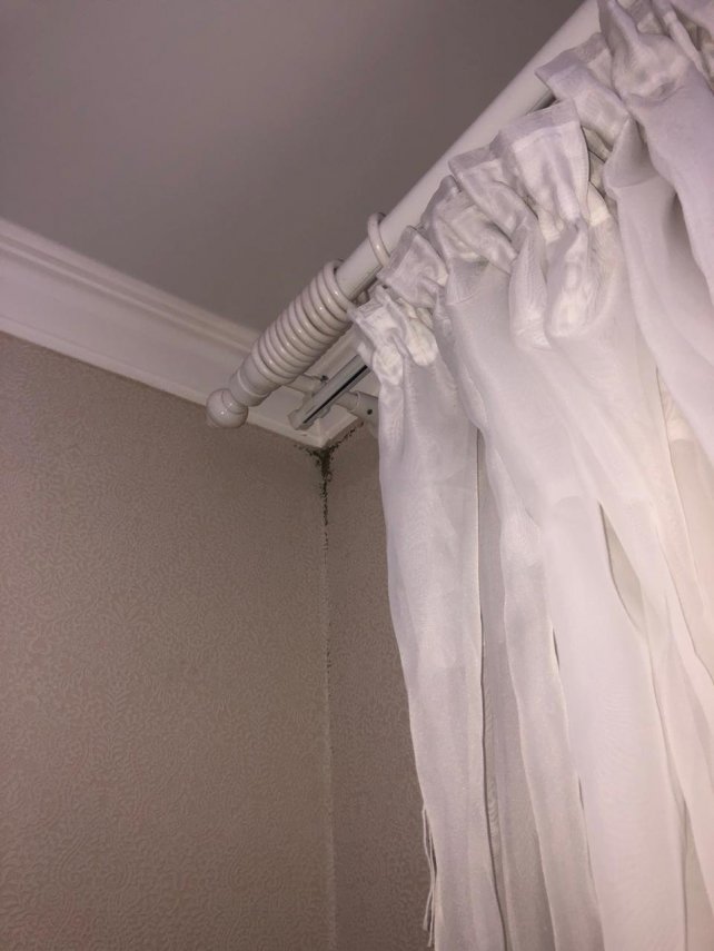 9ef524d9-9b7a-4a34-9fa6-a24984851ab3