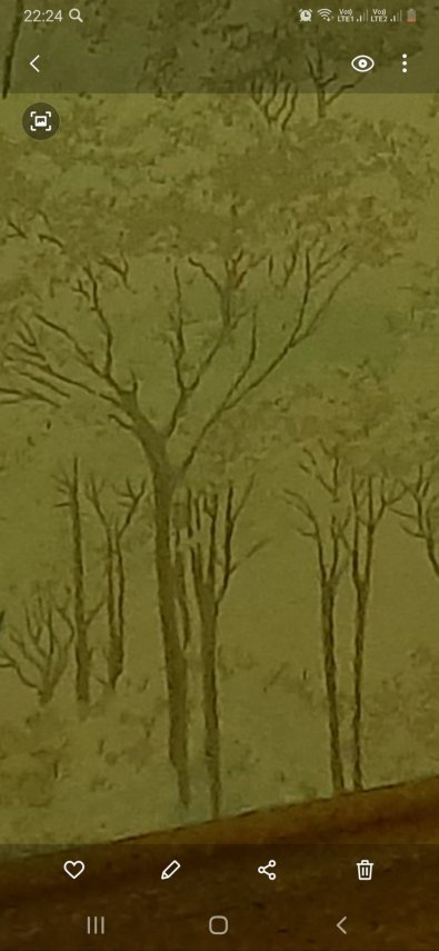 Screenshot_20210109-222402_Gallery