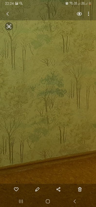 Screenshot_20210109-222432_Gallery