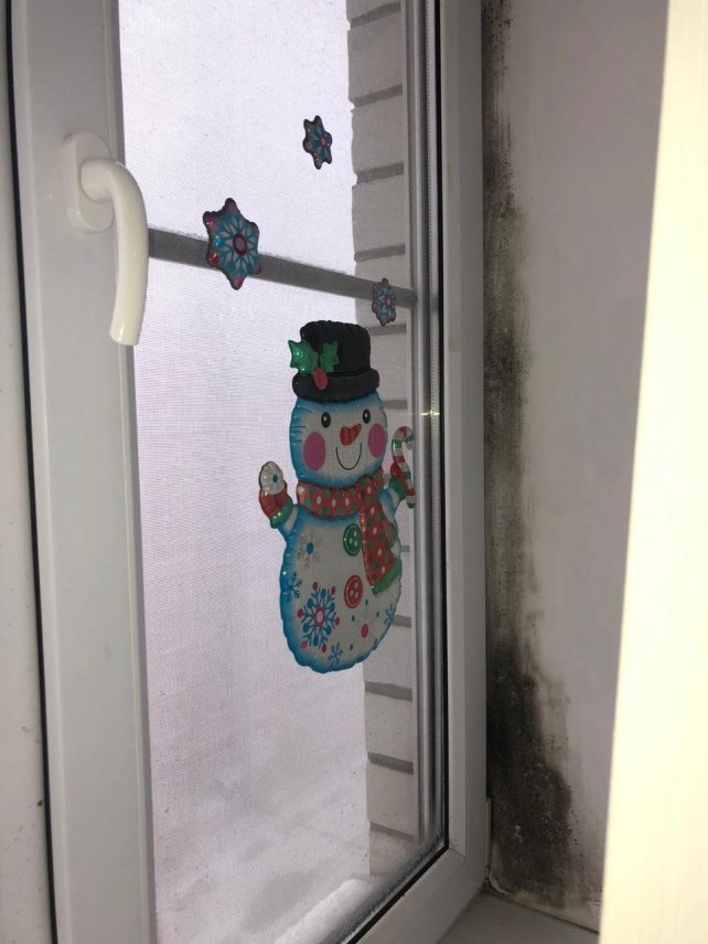 e21f7d96-19ca-4cee-87b9-e9ba28f25300