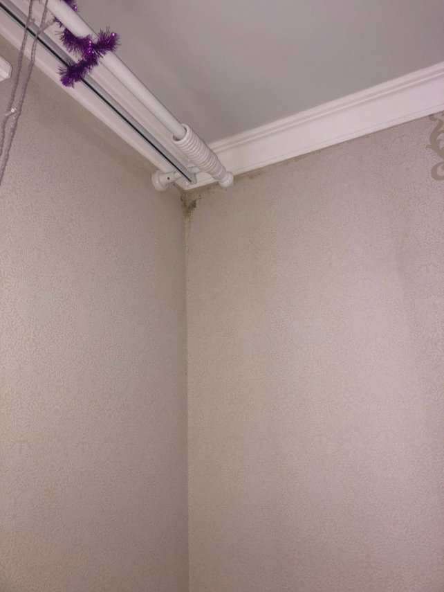 e825eaa4-0245-4640-aea3-159baba83a10