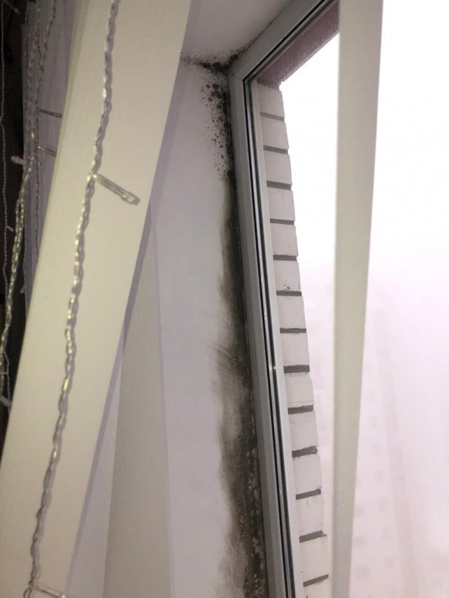 f00ed2a6-06eb-4ea0-b9d7-411591355ee2