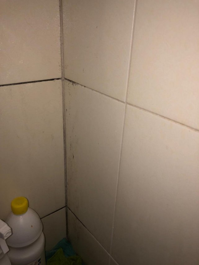 f81de6e8-8725-4fc6-ba3e-fabd45bc8a56