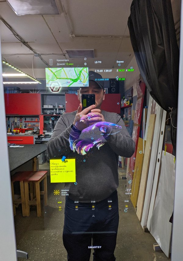 умная стальная дверь стал