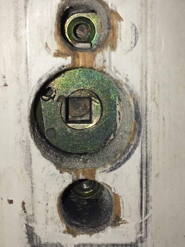 IMAGE 2021-02-16 17:18:09