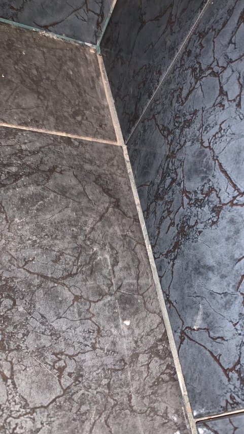 1BFEBCF3-61BA-41E7-97D0-4D47977C5208