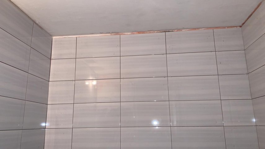 313F49DA-BECC-4DA7-8254-CF18B597D3E5