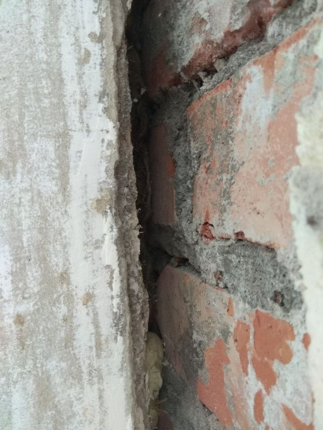 photo5260746497471918605