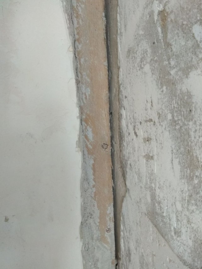 photo5260746497471918607