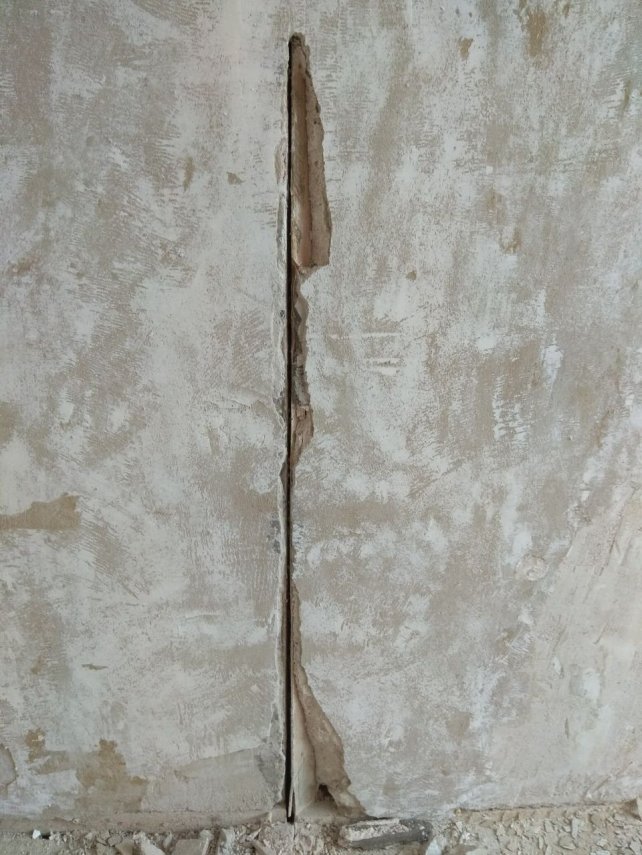 photo5260746497471918609