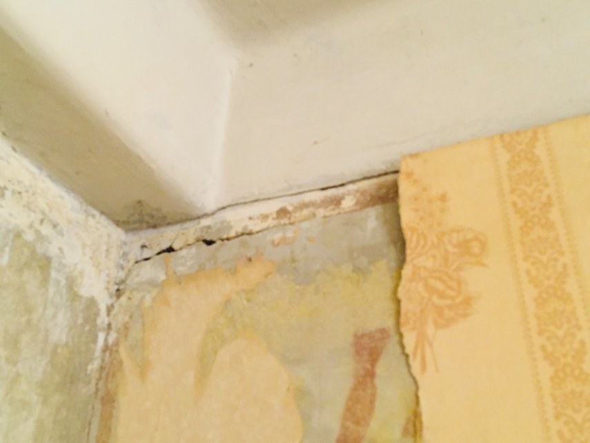 4EFF9312-469F-44D4-A3C5-D18FB40BB5ED