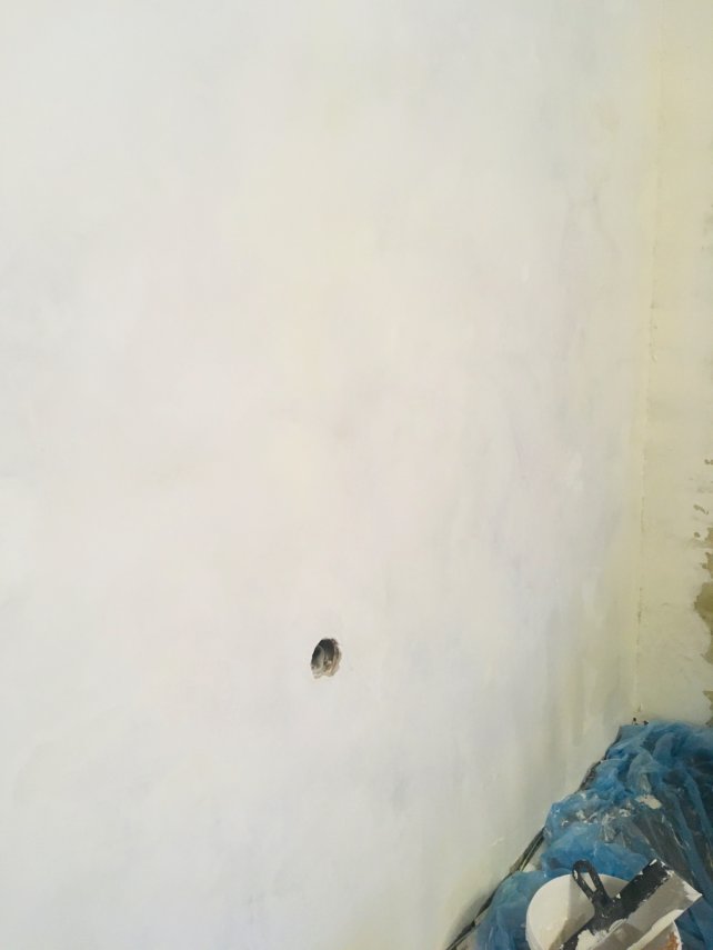 BE90C2F4-4695-4AD1-B7B1-2E1AC5285432