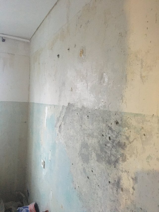 FF62F9F0-CEBF-40FE-B660-0B9FA2B7543D