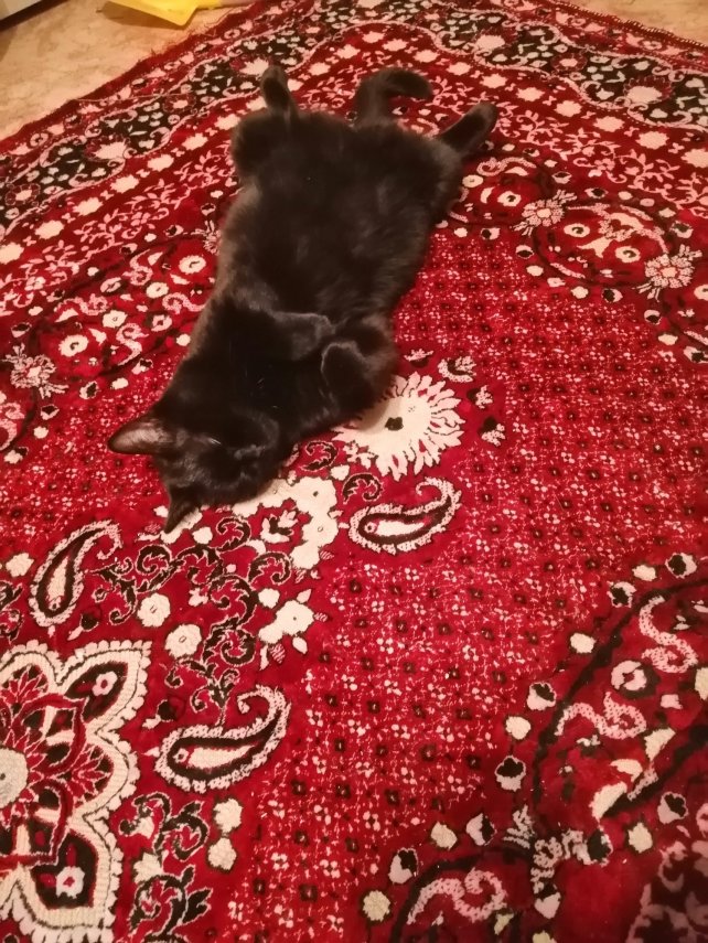 img_20210409_232445.dRfKP