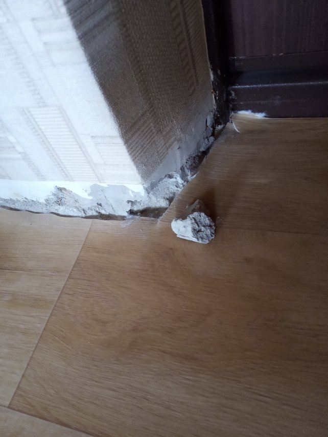 IMG_20210706_093742[1]