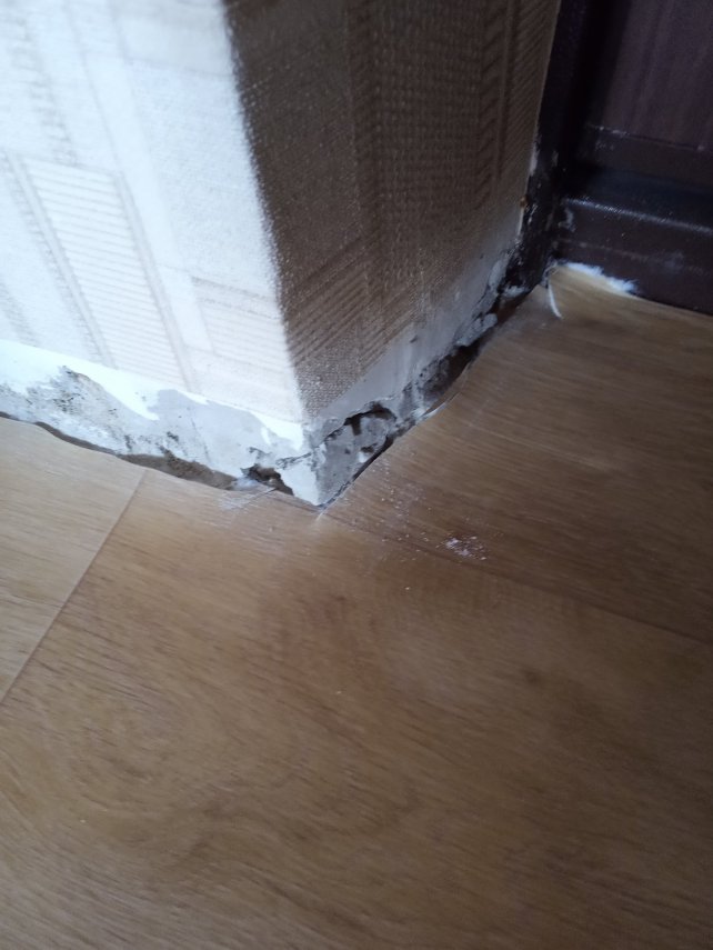 IMG_20210706_093755[1]