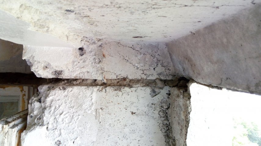 IMG_20210815_124017 --- 2